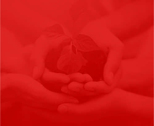 網絡公司盛世傳媒 網絡公司盛世傳媒