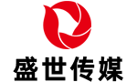 網站建設 盛世傳媒,網站建設設計公司